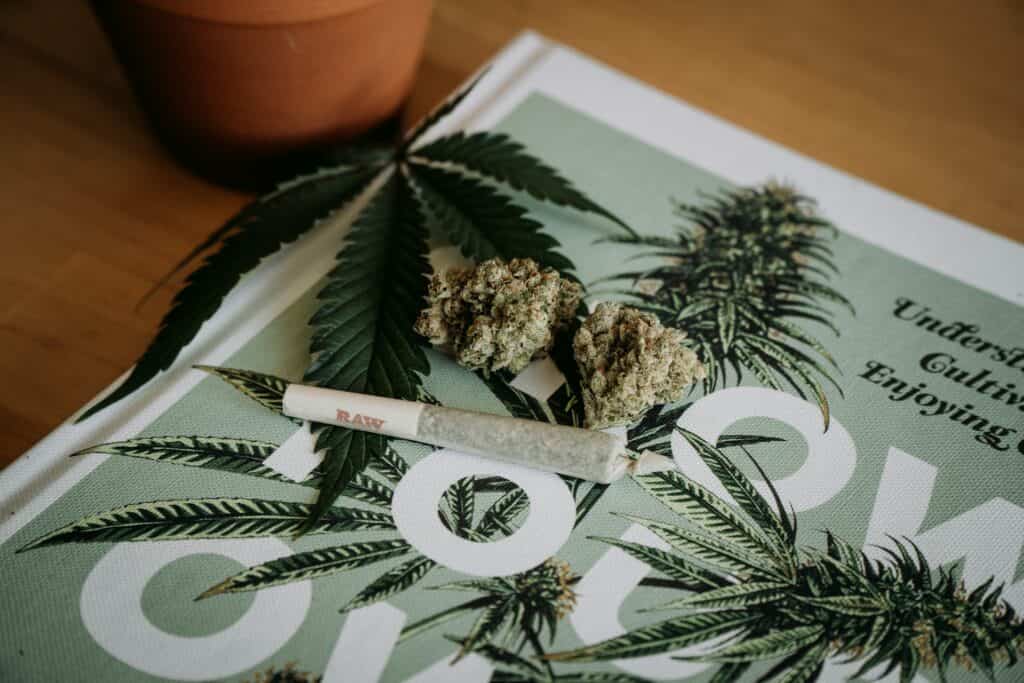 Cannabis Dispensary Email Marketing